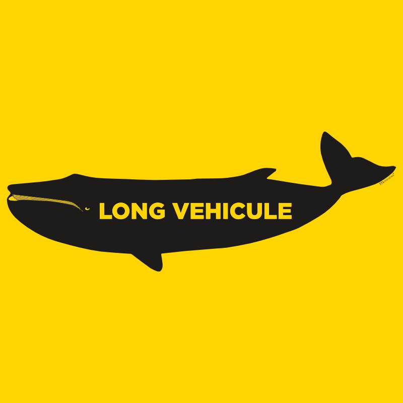 Visuel baleine, long véhicule, graphique